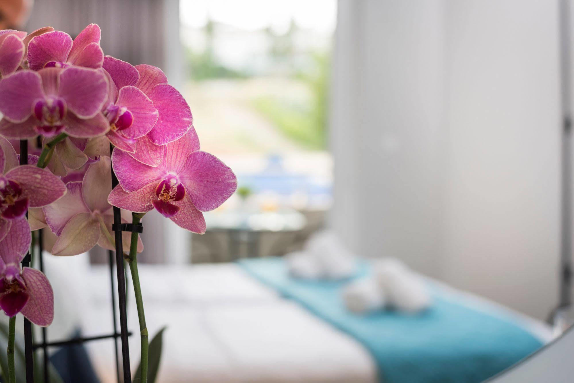 Irini Stalos Apartments Екстериор снимка